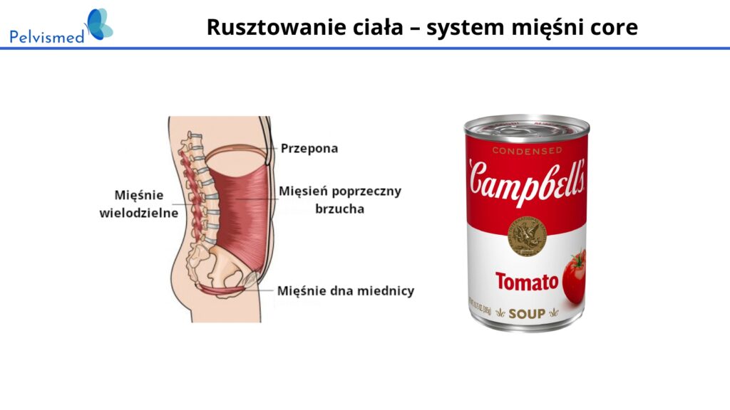 Pelvismed - wzmacnianie ciala po porodzie 12
